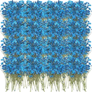 100 Pcs Dried Babys Breath Flowers Bulk Babys Breath Real Pressed Flowers Natural Gypsophila for Resin Wedding Art Craft Baby Shower DIY Invitations Scrapbooking Card(Blue)