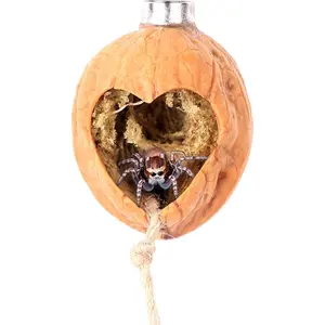 Handmade Magnetic Jumping Spider Hide Real Walnut Skin Shelter Hidden Habitat Spider Enclosure Accessories