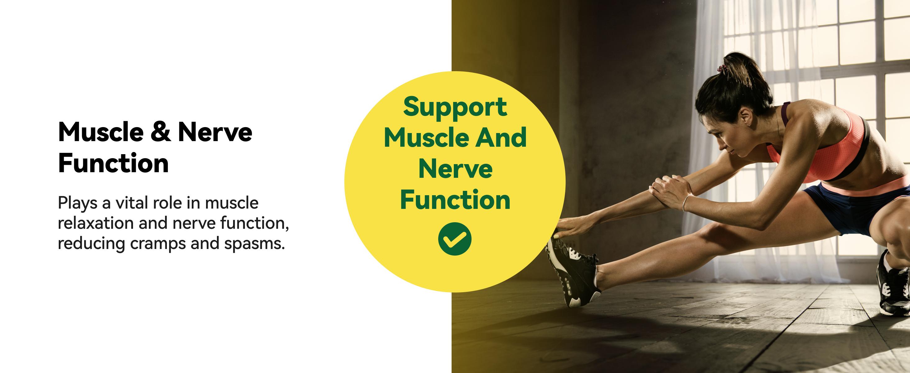 Magnesium Glycinate Liquid Drops with Magnesium Citrate & Taurate, L-Theanine, Vitamin D3, B6 - Supports Calm, Sleep, Muscle Relaxation, Leg Cramps & Energy, Sugar-Free Lemon Flavor, 60 mL theanine supplement Magnesium Glycinate Liquid Drops with Magnesium Citrate & Taurate, L-Theanine, Vitamin D3, B6 - Supports Calm, Sleep, Muscle Relaxation, Leg Cramps & Energy, Sugar-Free Lemon Flavor, 60 mL theanine supplement