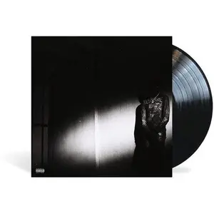 Destroy Lonely - No Stylist (Vinyl LP)