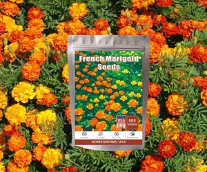 French Marigold Seeds Mix - 600 Pcs, Compact, Heat & Drought Tolerant Flower Seeds for Planting w/Orange & Yellow Prolific Blooms, Ideal for Vibrant Pollinator Gardens