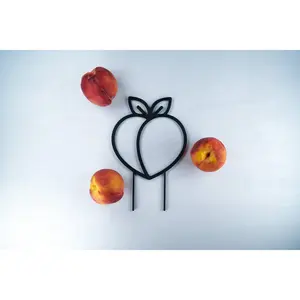 Peach Plant Trellis for Vining Plants