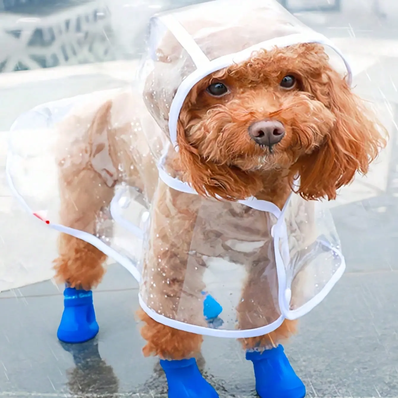 1Pc PU Waterproof Transparent Pet Raincoat Outside, Ideal for Small Puppies, Poodle, Soft & Lightweight, Breathable with Adjustable Reflective Hood, All-Season Gift, Waterproof Puppy Poncho