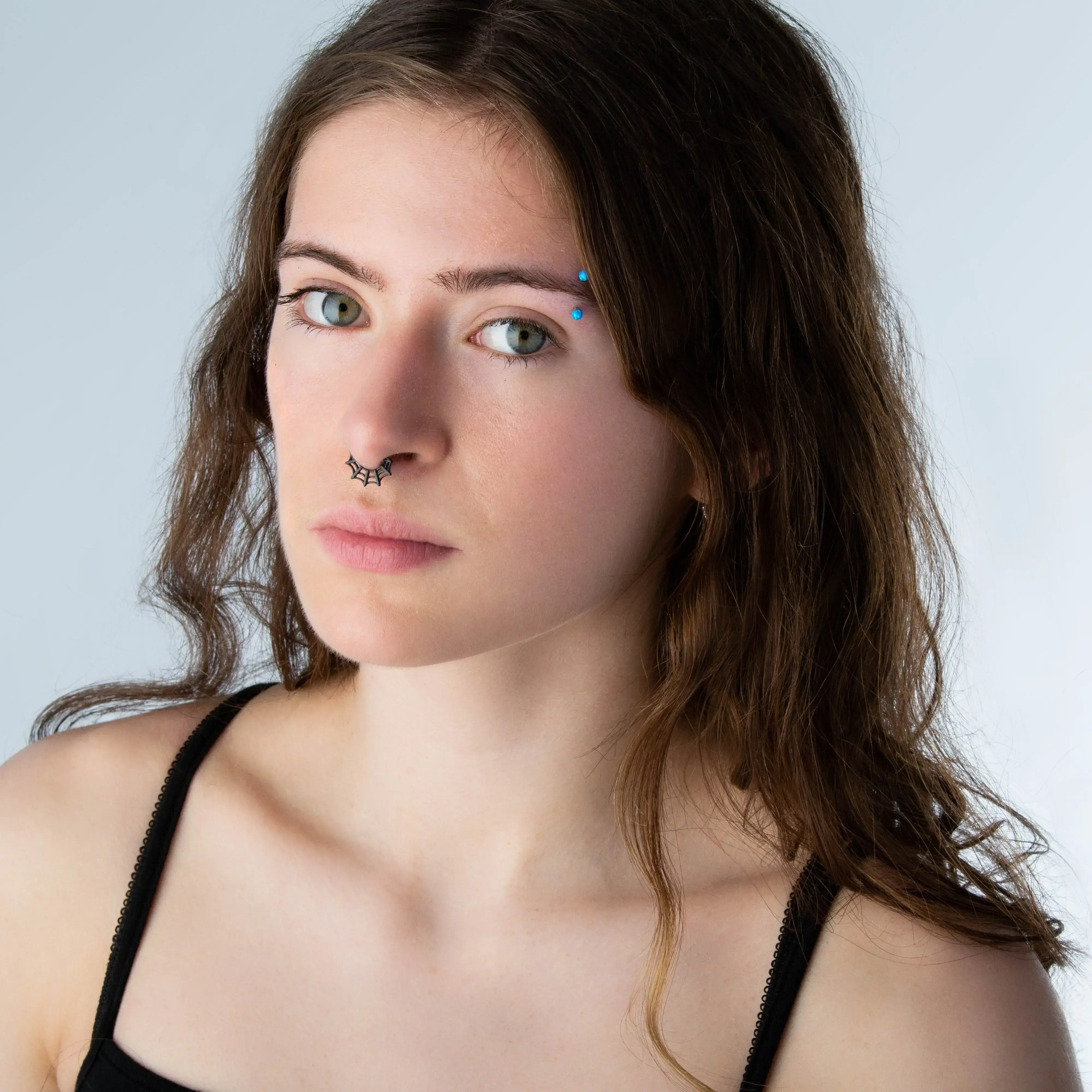 Spider Web Hinged Segment Ring - Stainless Steel Spider Web Hinged Segment Ring - Stainless Steel