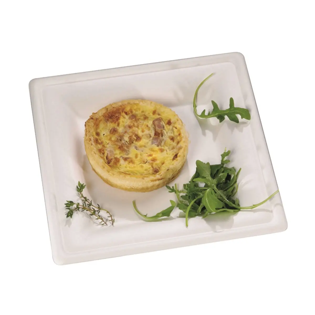 Packnwood 210APU2626AF Modern Square White Sugarcane Plate, Disposable Kitchen & Tableware Plate