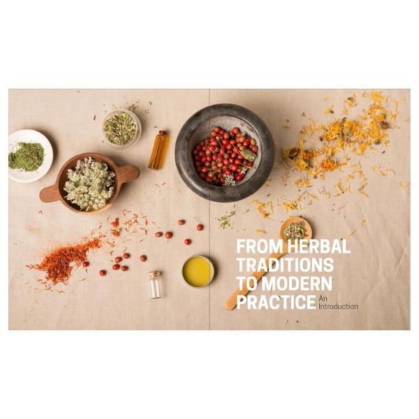 The Herbal Apothecary: 100 Medicinal Herbs and How to Use Them Paperback