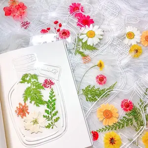 Transparent Dried Flower Bookmarks,  40 count Dried Flower Bookmark Kit,  Dried Flower Bookmarks,  DIY Transparent Bookmark Beautiful Flower Page