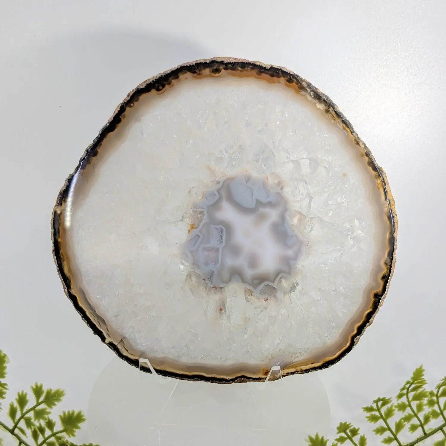 Natural Agate Polished Slice 6.75"