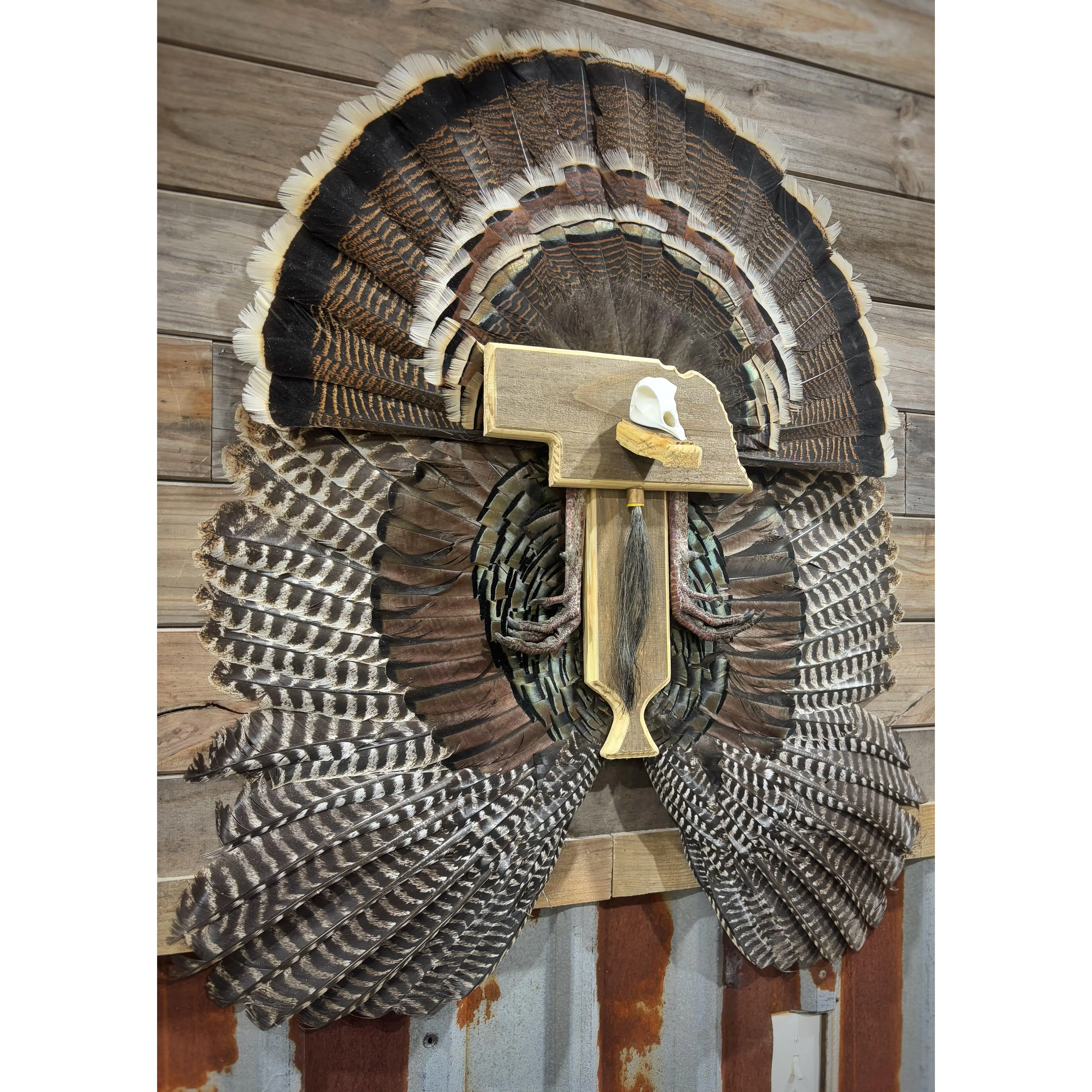 Turkey Fan & Wing Mount (Any State)(Replica Skull)
