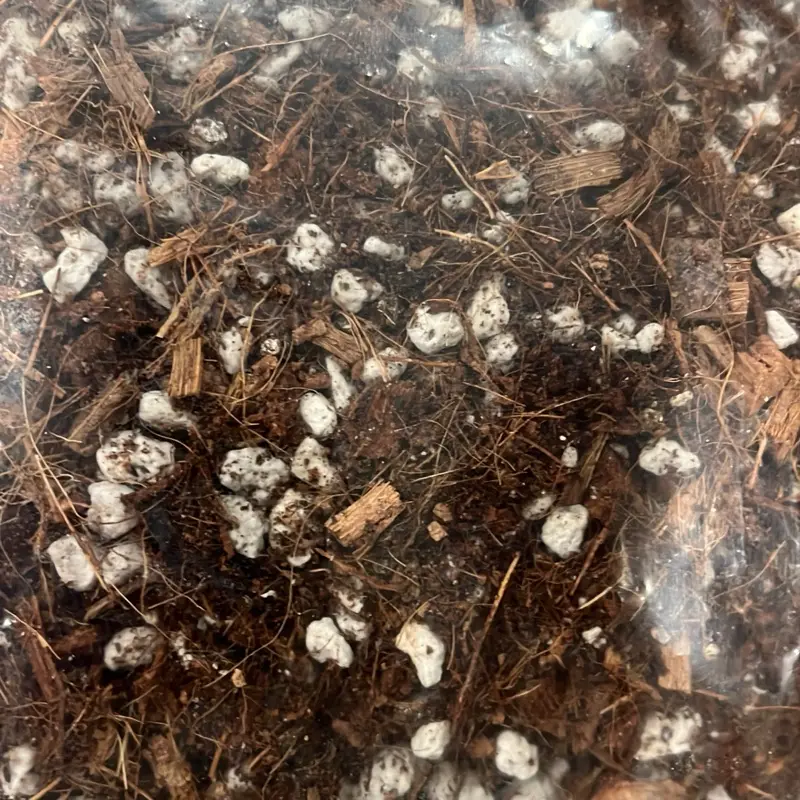 Cactus, Succulent & Tropical House Plant Soil Mixture - Fast-Draining, Nutrient-Rich Potting Blend for Indoor Desert Plants