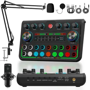 Professional Wireless Live Streaming Rechargeable Sound Card Equipment, Audio Podcast Equipment, Microphone Set, BT Connection, Support Mobile Phone/Computer/PC, Audio Interface, Live Sound Cards