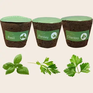 3" Preseeded Hydroponic Plugs - Basil, Parsley, Cilantro