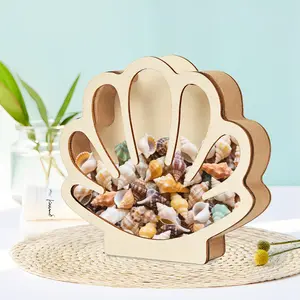 Miami Beach Summer Essential: Shell-Shaped Display Box – Your Stylish Companion for Storing Ocean Treasures & Jewelry