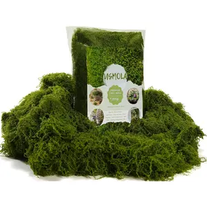 3.5OZ Fake Moss for Plants Indoor - Artificial Moss for Table Centerpieces, Fairy Gardens, Terrariums - Realistic Faux Grass for Wedding Christmas Party Decor (Natural Green)