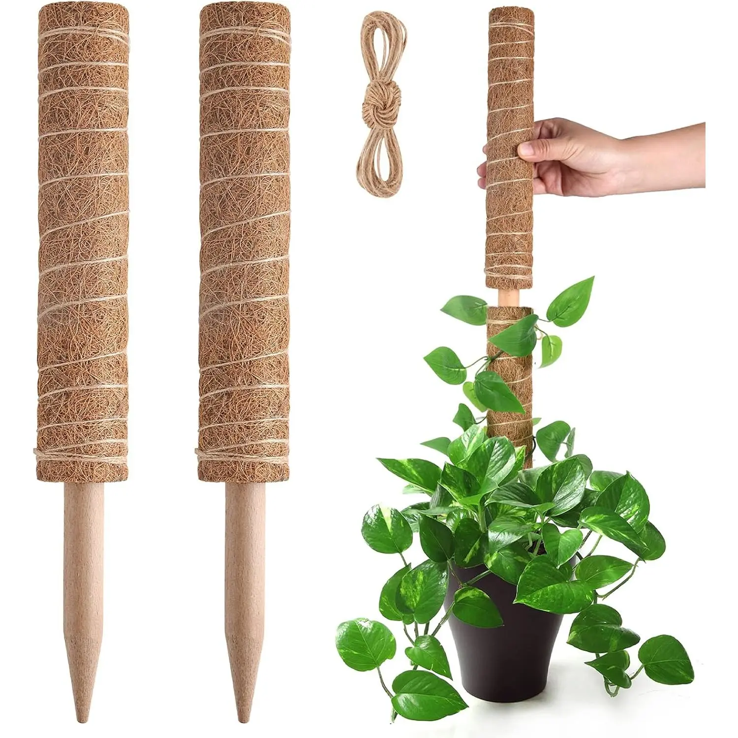 Moss Pole for Monstera - Extendable Sticks Support, Stakes for Indoor Potted , 15.7'' Coco Coir Pole, 2 count