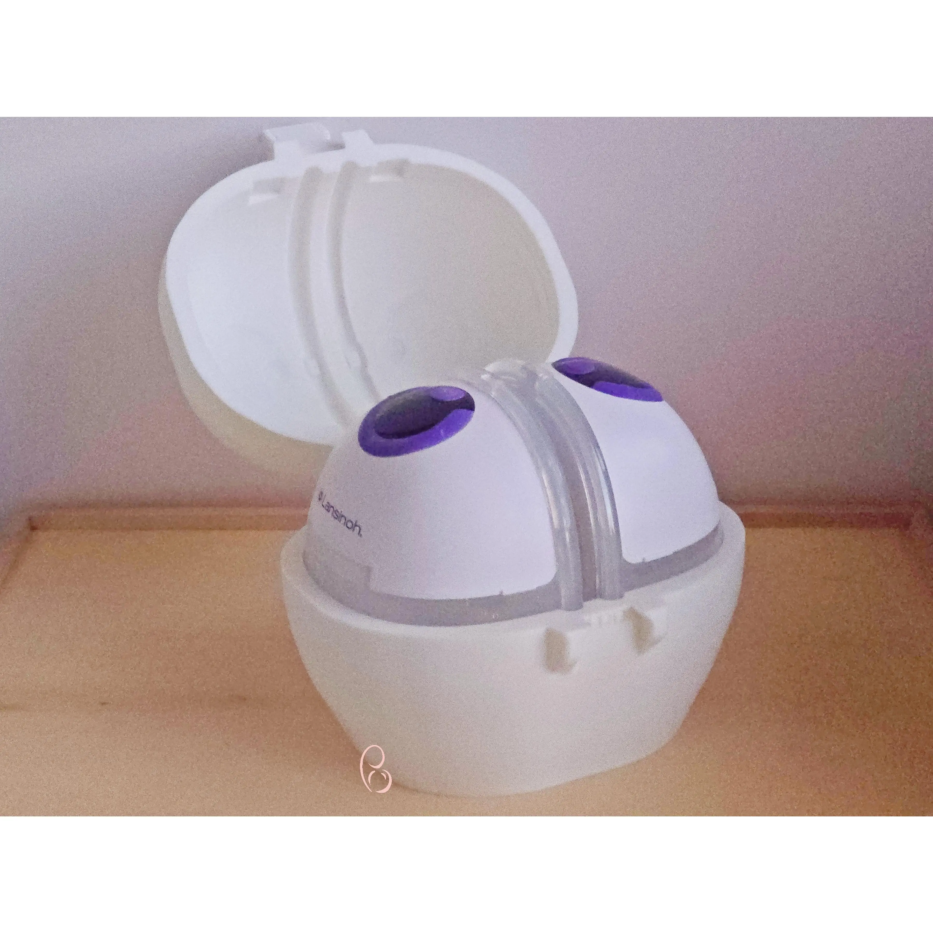 Lansinoh Discrete Duo Pump Holder | Compact Fridge Storage for