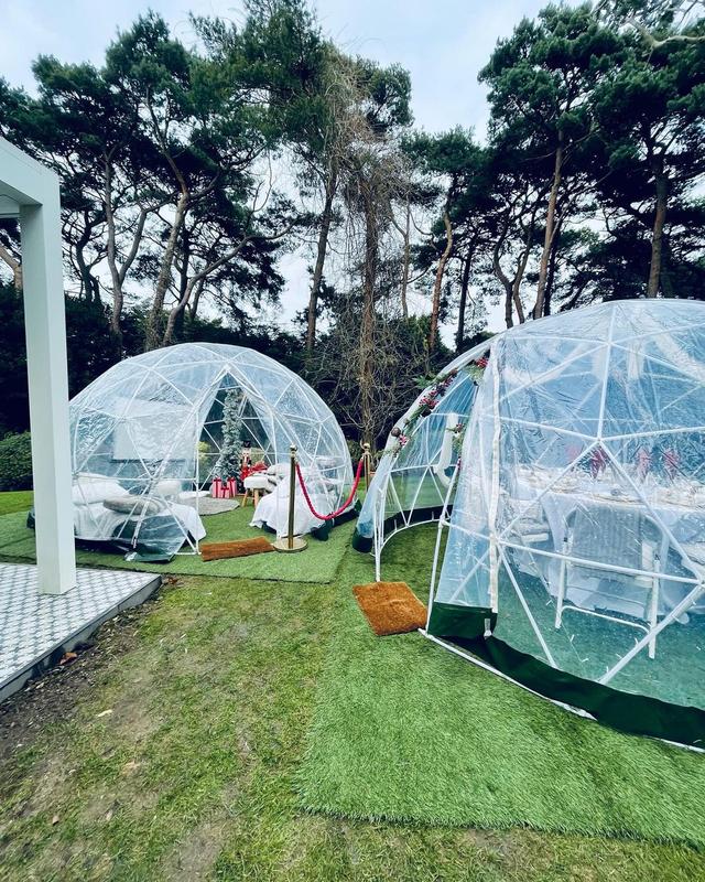 Easy-Setup 12FT Garden Igloo Greenhouse Dome – Transparent PVC Plant ...