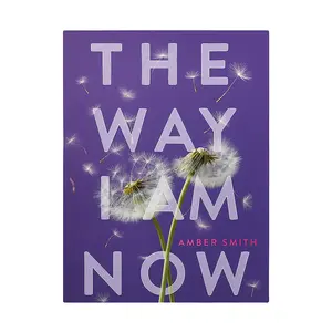 The Way I Am Now Book Emotional Romance & Healing Story Contemporary Fiction Novel for Young Adults