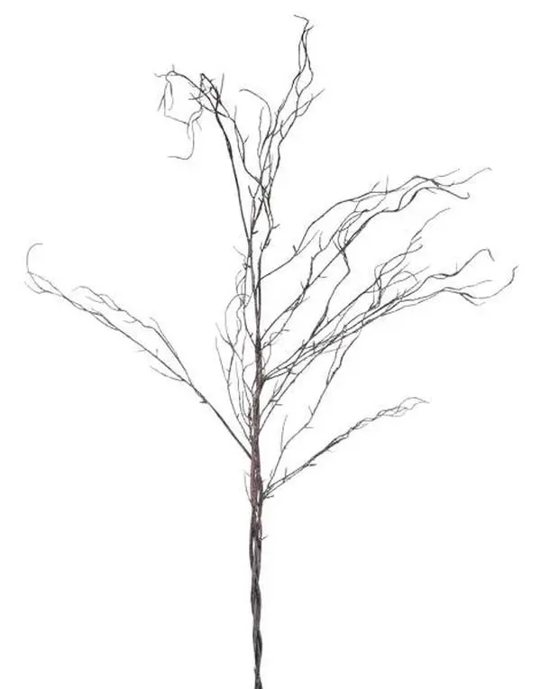 57.5" Twig Branch with 7 Branches
