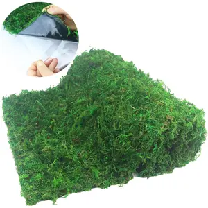 Dried Preserved Green Moss Roll Table Runner Mat 16" x 79"/40x200cm for Crafts Fairy Gardens Wedding Woodland Table Wall Decoration
