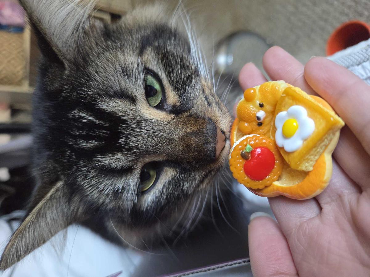 Item: 10 Squishies+10 Plates+Various Accessories