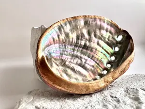 Abalone Shell, Hand Painted, Smudge Bowl