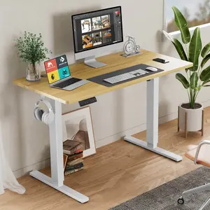 Ergonomic Height Adjustable Electric Desk, Sit Stand Computer Workstation with LED Display, Memory Presets, T-Shaped Metal Frame, Cable Ports and Hooks, 4 Color