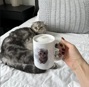 Personalized Mug Custom Mug Cat on a Cute Cat Gift Cup