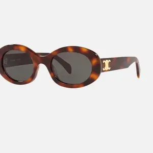 Pre-owned Celine Acetate Triomphe Oval sunglasses