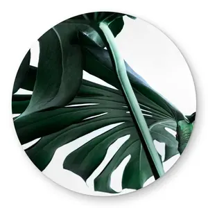 360 Stand 5x5 ft Round Area Rug, Polyester Home Decorative Rugs, Exotic Tropical Monstera Deliciosa Leaf Print, Soft Texture, Indoor/Outdoor Carpet, Polyester Rug