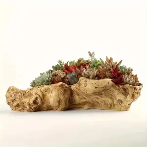 [Unique Planter] Unique Large Resin Succulent Planter | Durable ABS Material, Indoor Plant Pot, Decorative Pot for Cacti and Indoor Plants, Perfect for Home or Office Display (Plants Not Included)