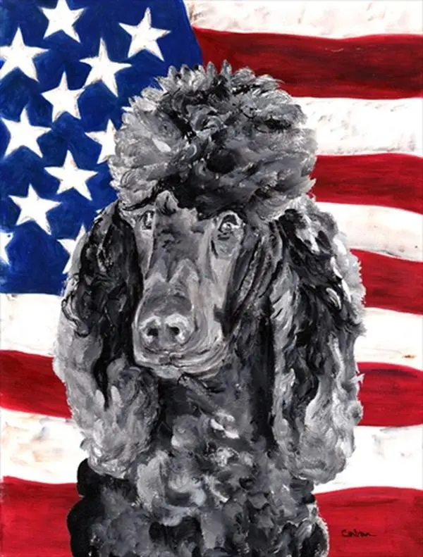 212 MAIN Patriotic Poodle Print American Flag, Weatherproof Polyester Outdoor Flag - 11x0.01x15 in, 0.19 lbs, Fade-Resistant, Double-Sided for Boating, Sports Use