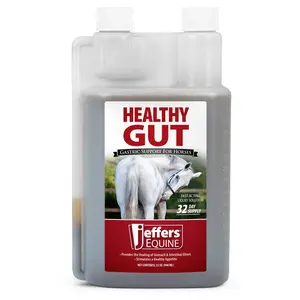 Jeffers Healthy Gut Gastric Support Liquid Supplement for Horses Jeffers Healthy Gut Gastric Support Liquid Supplement for Horses