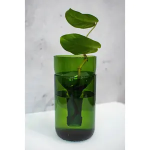 Self-watering Planter