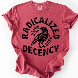 Comfort Colors Radicalized by Basic Decency Unisex T-shirt, Political Protest Tee, Feminist Activist Gift, Liberal Clothing, Social Justice