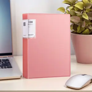 100-Page A4 Clear Folder - Large Capacity, Expandable, Wrinkle-Resistant & Non-Slip Design, Multiple Color Options, Office & Home Document Storage Box, Modern Style Durable Plastic, Hole-Free Multi