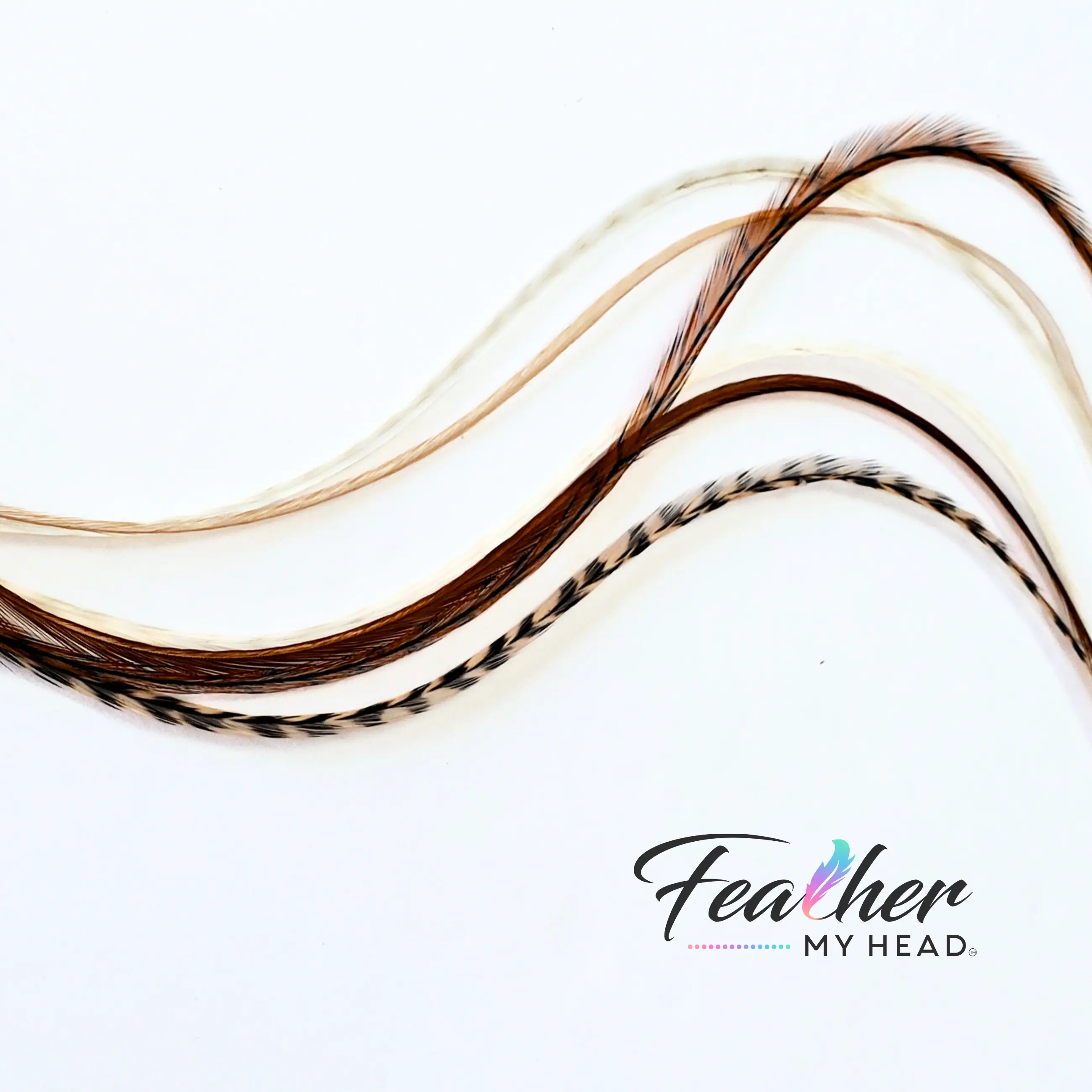 Hair Feathers - Feather Extensions - Pick Your Length from 10" to over 16" Long - Tan Fannies Collection by Feather My Head