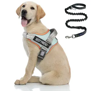 AUROTH No Pull Dog Harness with Leash - Soft Padded Service Vest for Small Medium & Large Dogs, Reflective Adjustable Padded, No Choke, Comfortable Service Vest