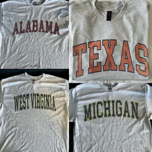 Vintage Varsity College T-Shirt, 100% Cotton Retro Campus Tee, Preppy Streetwear Top, Unisex Back to School Gift for Men and Women, Sport Grey Tee