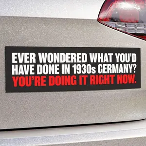 Pro-America Anti-Trump Car Magnet, Anti-Fascism Car Magnet, Defend Democracy Magnet, Political Protest Magnet, Protect the Constitution Car Magnet