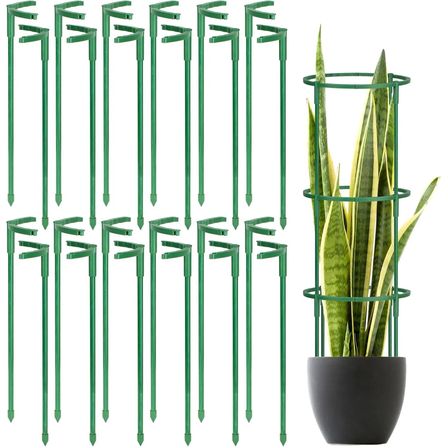 24 count  Support Stakes, Half Round  Support for Indoor , Stackable Garden Flower Support,  Stakes for Tomato, Monstera, Peony, Hydrangea Climbing  (6.2 "Wide X 11.6" High)