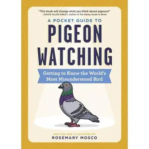 A Pocket Guide to Pigeon Watching: Getting to Know the World's Most Misunderstood Bird -- Rosemary Mosco, Paperback