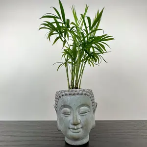 Buddha Head Planter