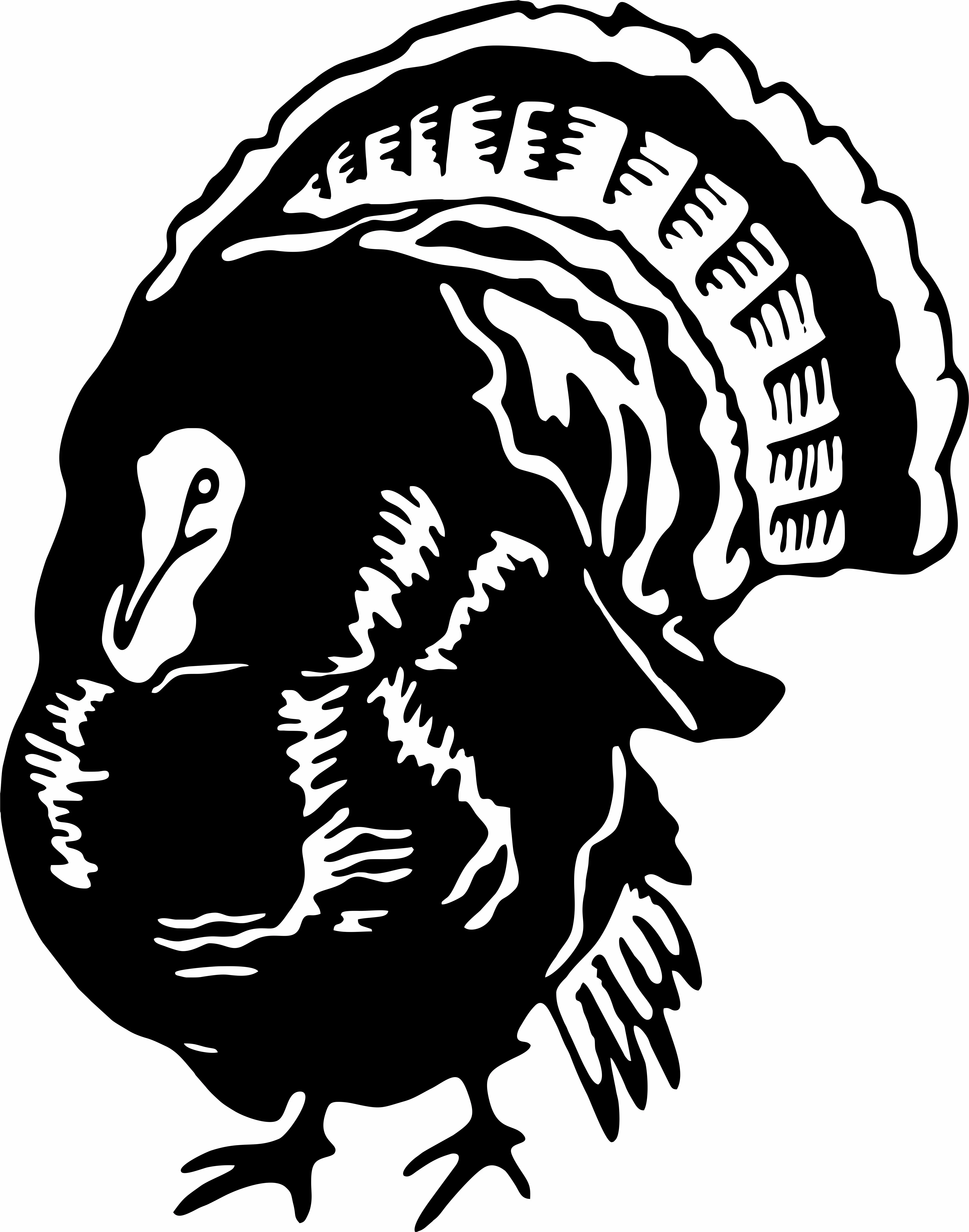 Wild Turkey Hunting Hunter Bird Car Truck Window Wall Laptop Vinyl Decal Sticker
