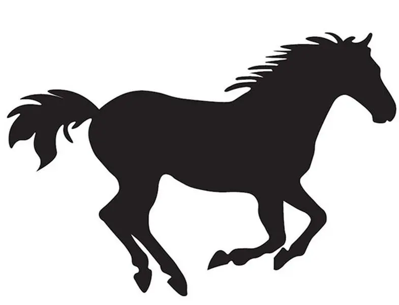 Horse Decal