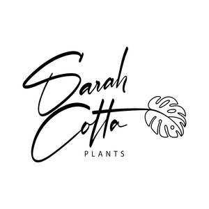 SarahCotta Plants