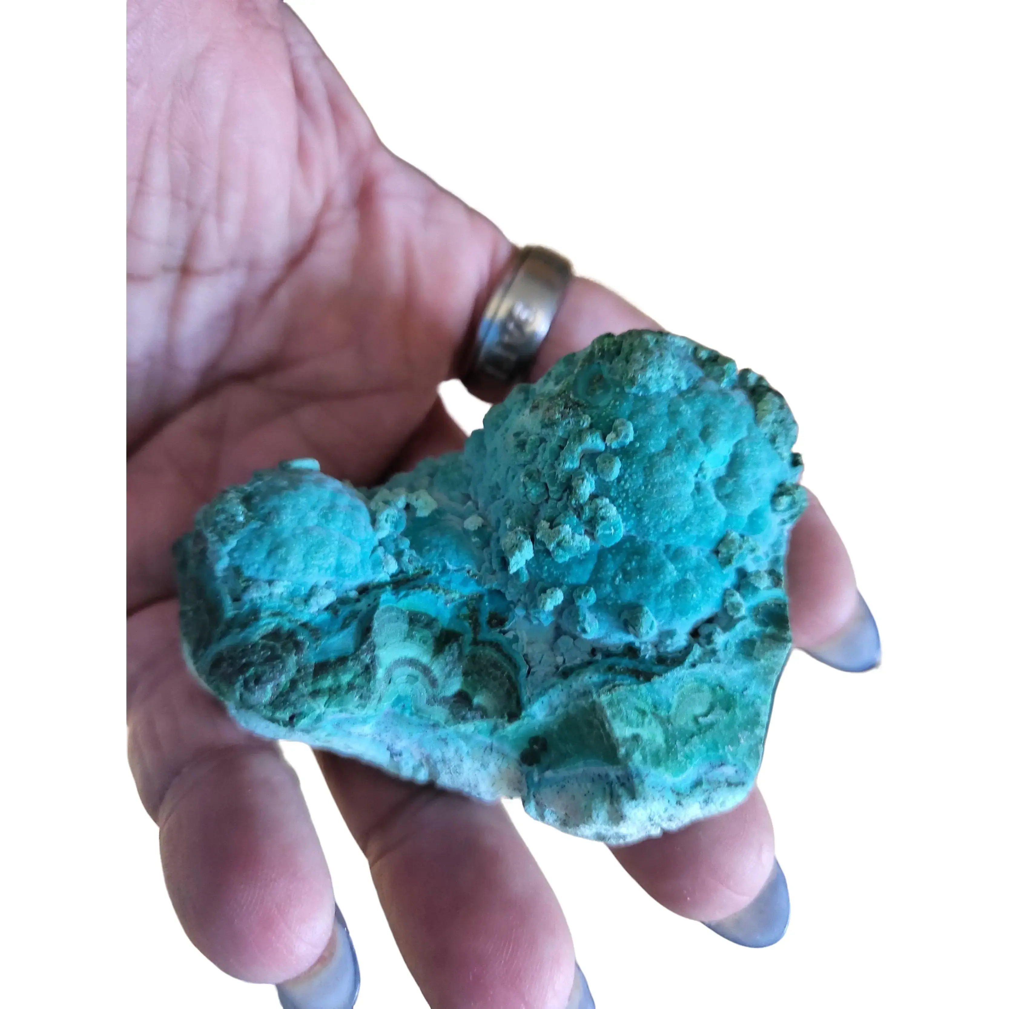 Chrysocolla Raw Specimen - Premium Quality