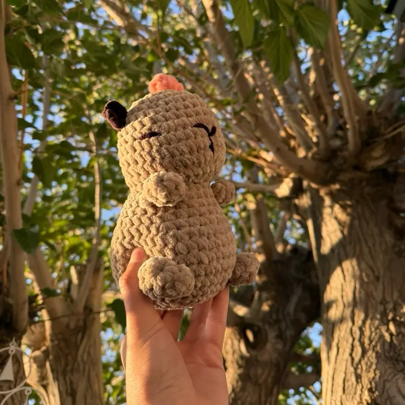 Capybara Crochet Plush with Orange