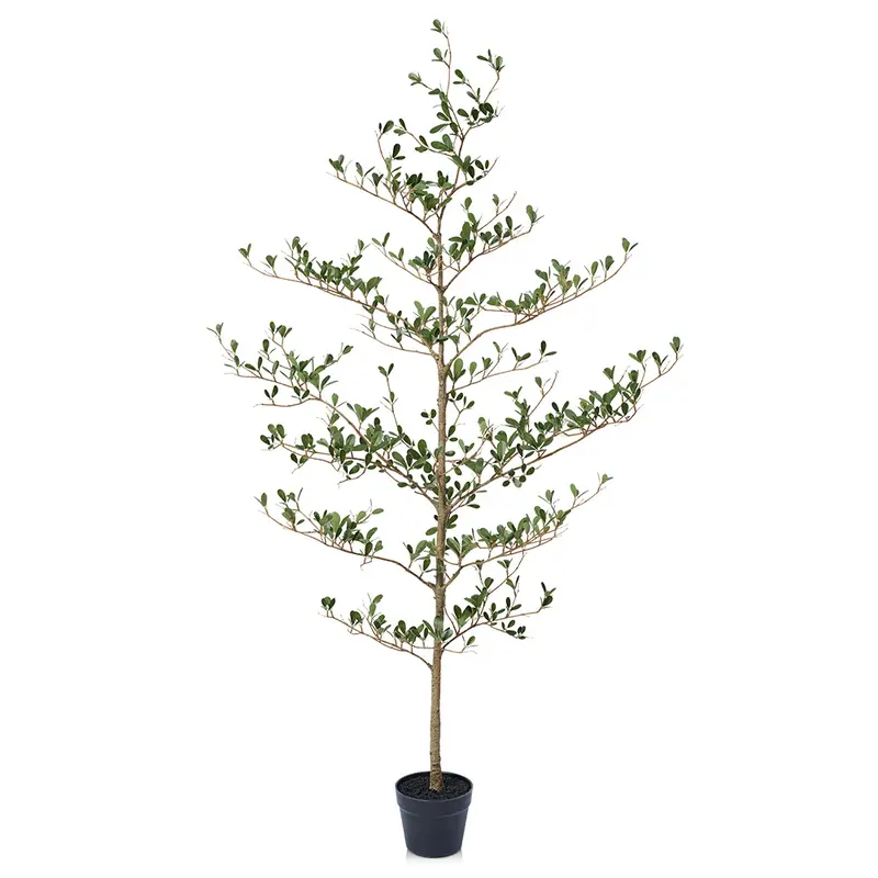 VeriNatural 5/6/7FT Artificial Black Olive Silk Tree UV Resistant with Black Planter for Indoor & Outdoor (VN140)