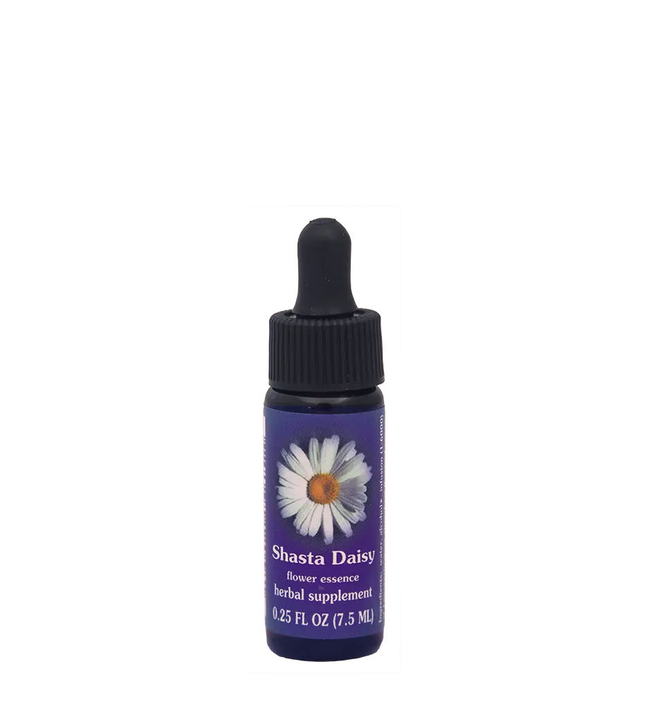 FES Shasta Daisy Flower Essence Oil - Aromatherapy Oil, Brain Health Support, Holistic Balance Mandalic Consciousness Wellness Aid for Those Not Sure About Alternative Medications & Treatments